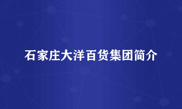 石家庄大洋百货集团简介