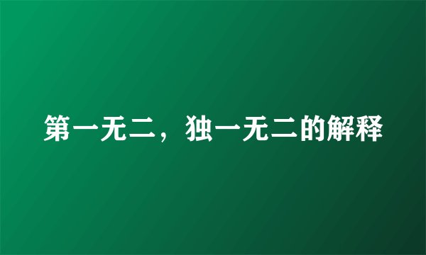 第一无二，独一无二的解释