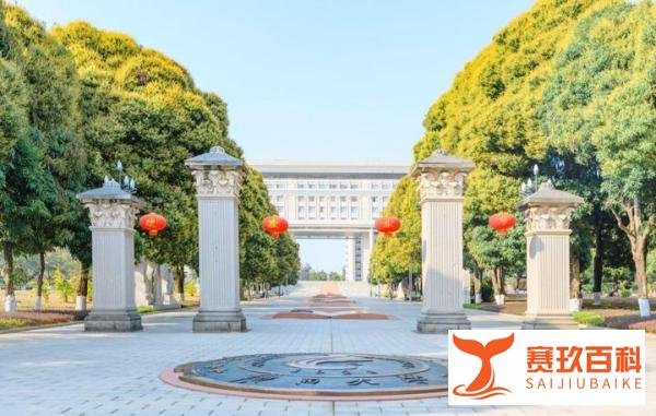 广西大学大树倾倒教师疑被砸身亡，学校回应：确有此事，正在处理