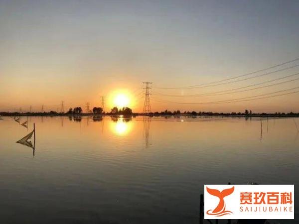 阳澄湖大闸蟹热瘦了 价格暴涨40%