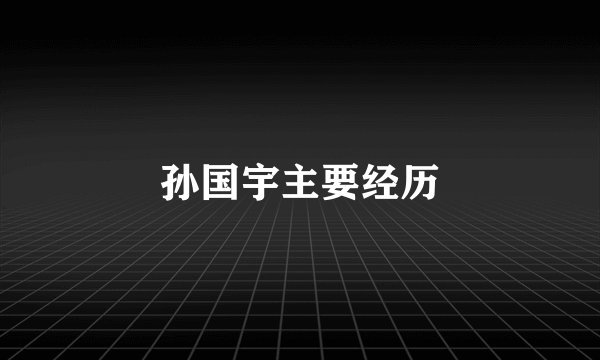 孙国宇主要经历