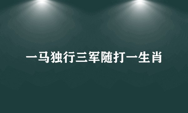 一马独行三军随打一生肖