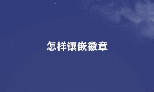 怎样镶嵌徽章