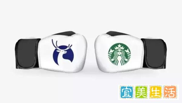 瑞幸:2019年我们将全面超过星巴克!亏损8亿也要继续补贴