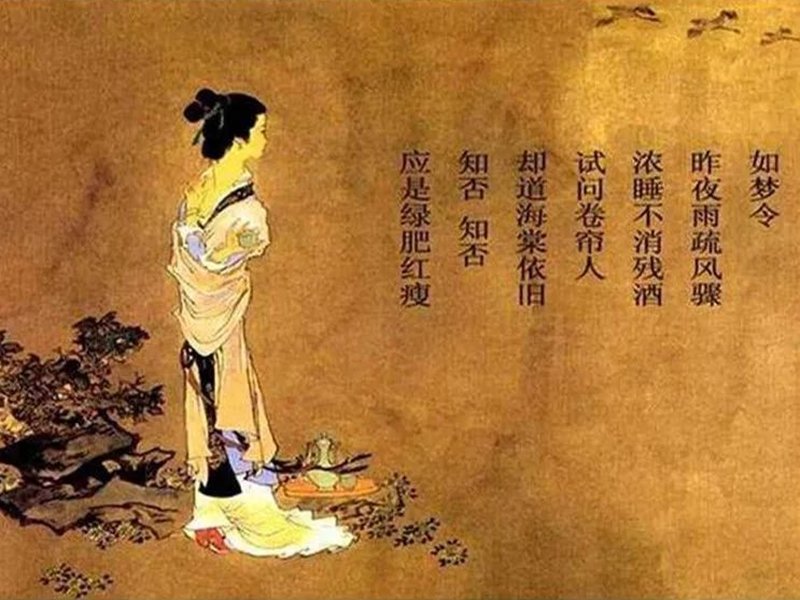 李清照最流氓的一首诗