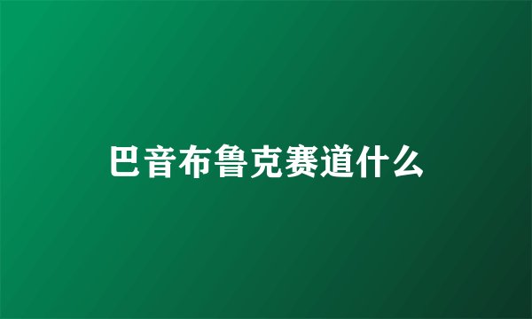 巴音布鲁克赛道什么