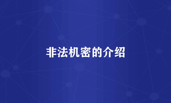 非法机密的介绍