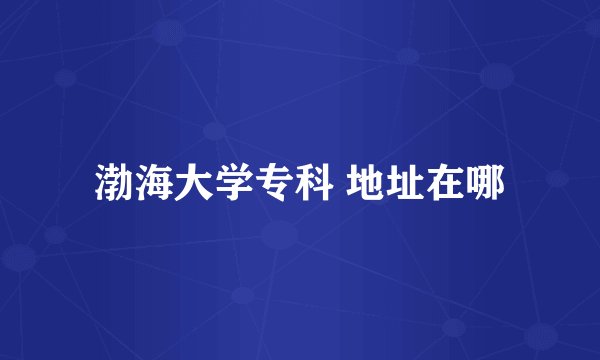 渤海大学专科 地址在哪
