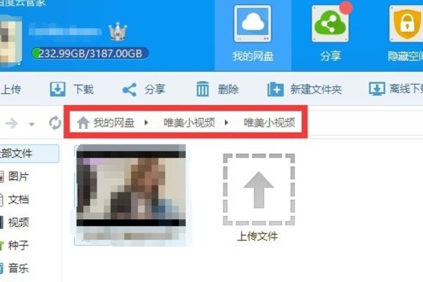 为什么bt下载的种子打不开？