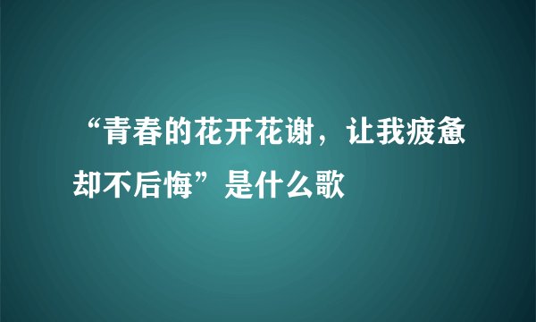 “青春的花开花谢，让我疲惫却不后悔”是什么歌