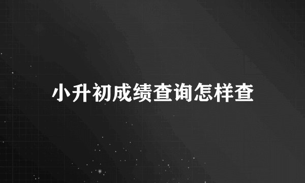 小升初成绩查询怎样查
