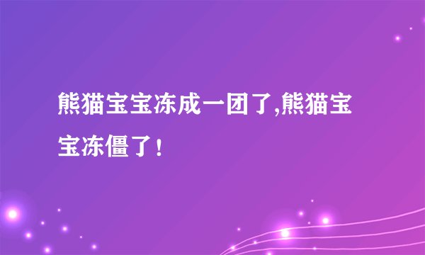 熊猫宝宝冻成一团了,熊猫宝宝冻僵了！