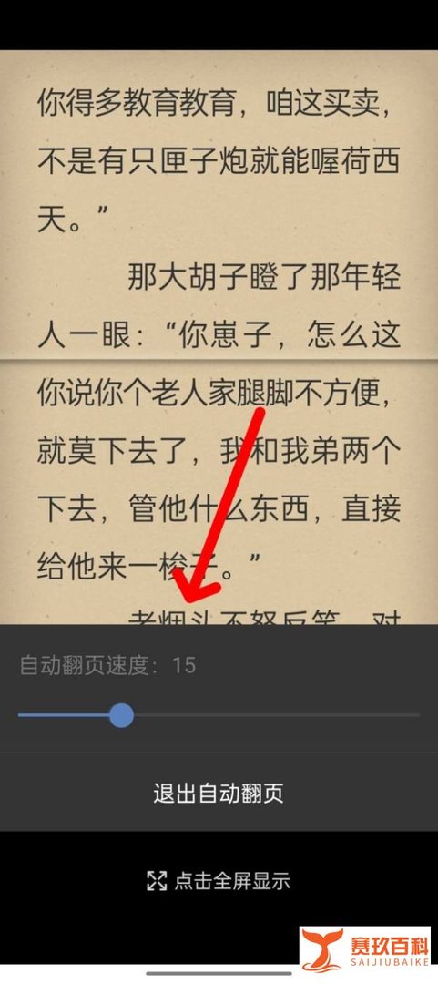 如何使用anyview软件进行自动阅读？