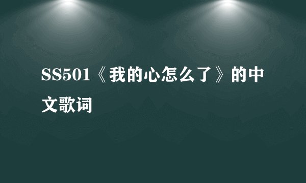 SS501《我的心怎么了》的中文歌词