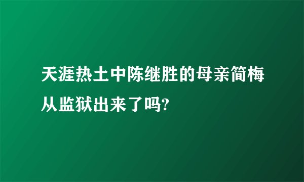 天涯热土中陈继胜的母亲简梅从监狱出来了吗?