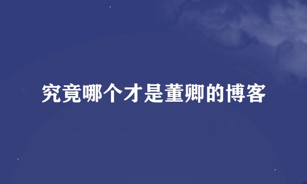 究竟哪个才是董卿的博客