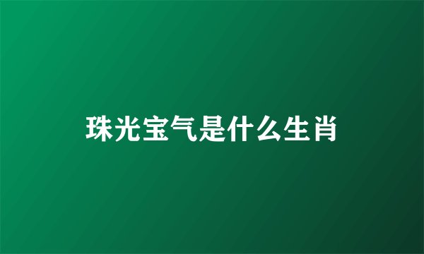 珠光宝气是什么生肖