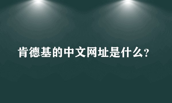 肯德基的中文网址是什么？
