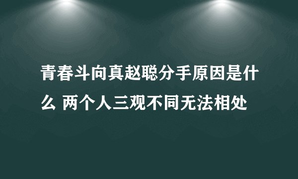 青春斗向真赵聪分手原因是什么 两个人三观不同无法相处