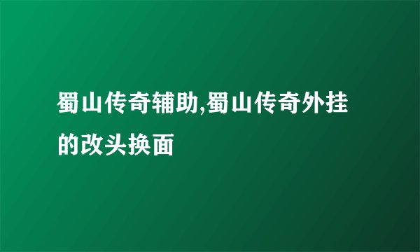 蜀山传奇辅助,蜀山传奇外挂的改头换面