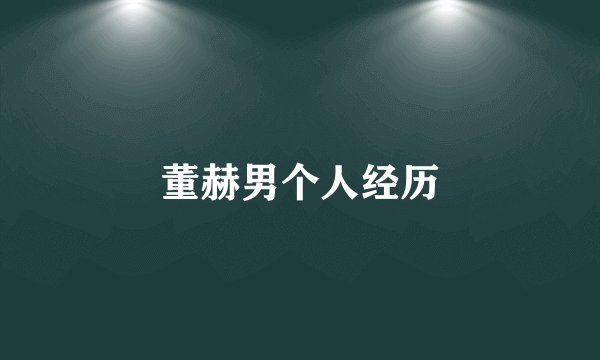 董赫男个人经历