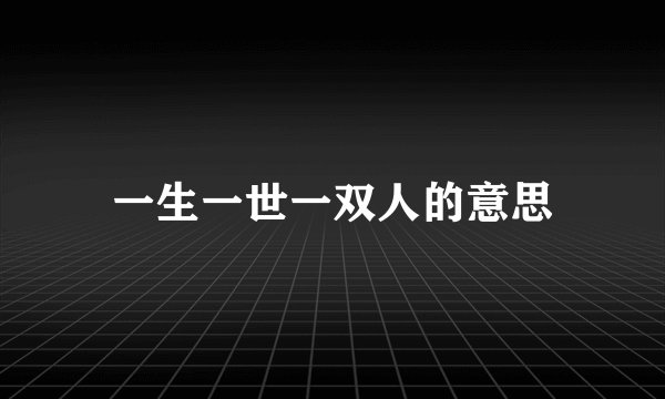 一生一世一双人的意思