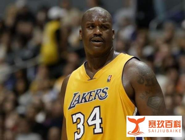 盖出一片新天地!盘点NBA季后赛十大盖帽王:马刺名宿稳居第一!