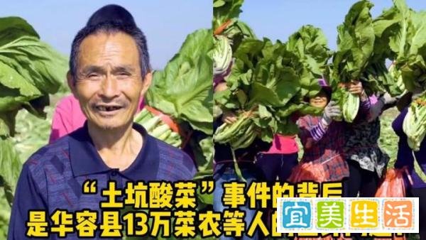 “老坛酸菜”事件影响13万人生计：39家工厂停产，害群之马是谁？