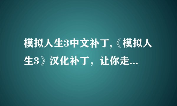 模拟人生3中文补丁,《模拟人生3》汉化补丁，让你走进虚拟人生