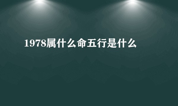 1978属什么命五行是什么