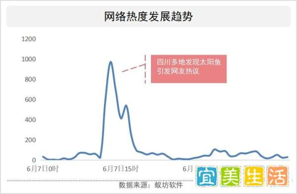“四川多地出现太阳鱼”报道下娱乐玩梗与担忧心态两极分化