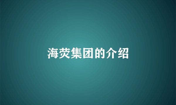 海荧集团的介绍