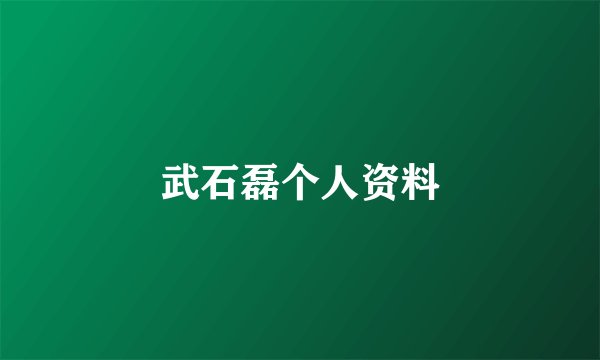 武石磊个人资料