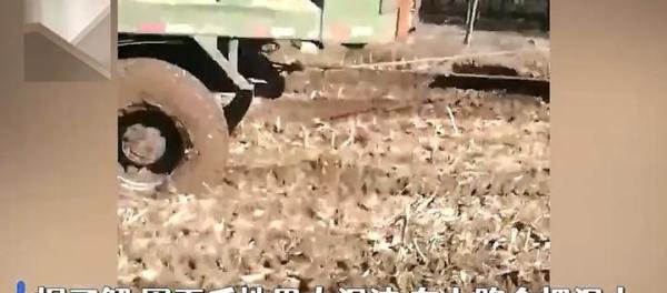 “抢收”被城管罚款和要求铺红地毯?官宣:都不存在的。秋收车辆上路因车轮带泥被罚。