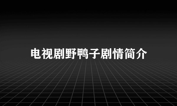 电视剧野鸭子剧情简介