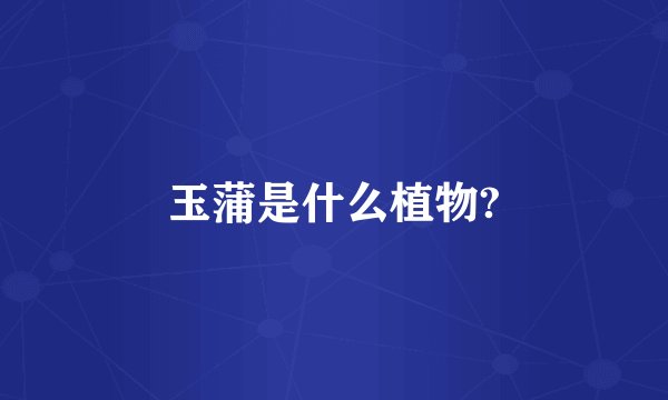 玉蒲是什么植物?
