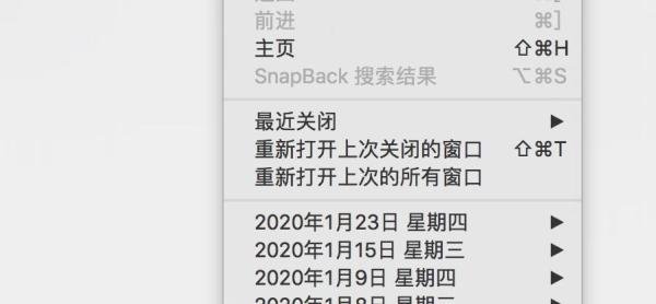 safari地址栏无法搜索怎么办?
