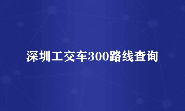 深圳工交车300路线查询
