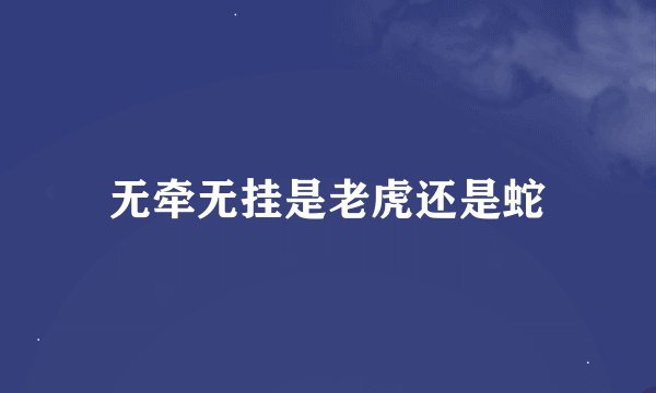 无牵无挂是老虎还是蛇