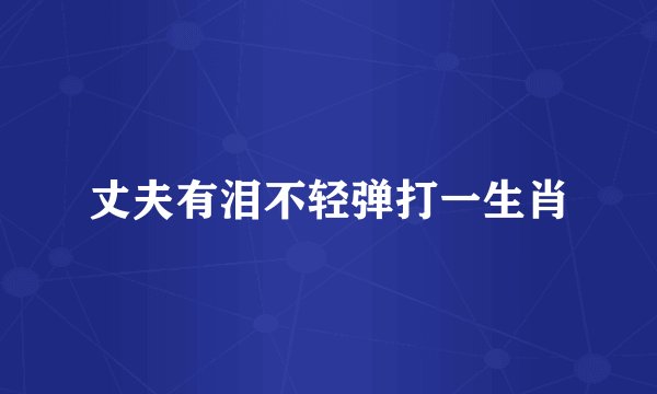 丈夫有泪不轻弹打一生肖