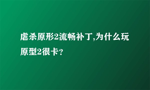虐杀原形2流畅补丁,为什么玩原型2很卡？