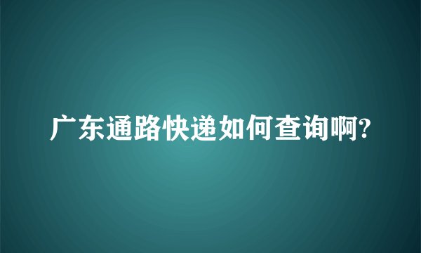广东通路快递如何查询啊?