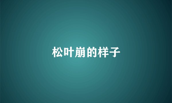 松叶崩的样子