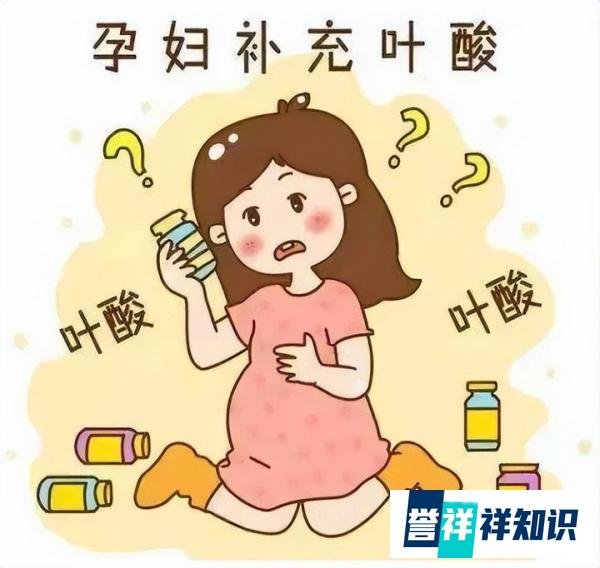 注意！想怀上人类高质量幼崽，男性也要补充叶酸