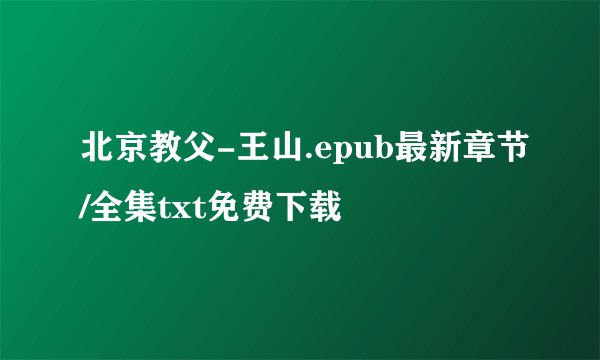 北京教父-王山.epub最新章节/全集txt免费下载