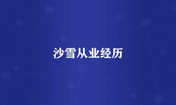 沙雪从业经历