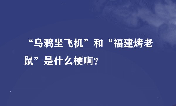 “乌鸦坐飞机”和“福建烤老鼠”是什么梗啊？