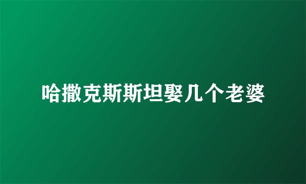 哈撒克斯斯坦娶几个老婆