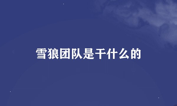 雪狼团队是干什么的