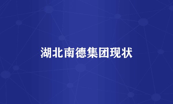 湖北南德集团现状